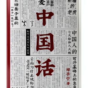 Chinese Craft DIY Guide by 后浪出版社 Kindle Edition 232 Pages-0